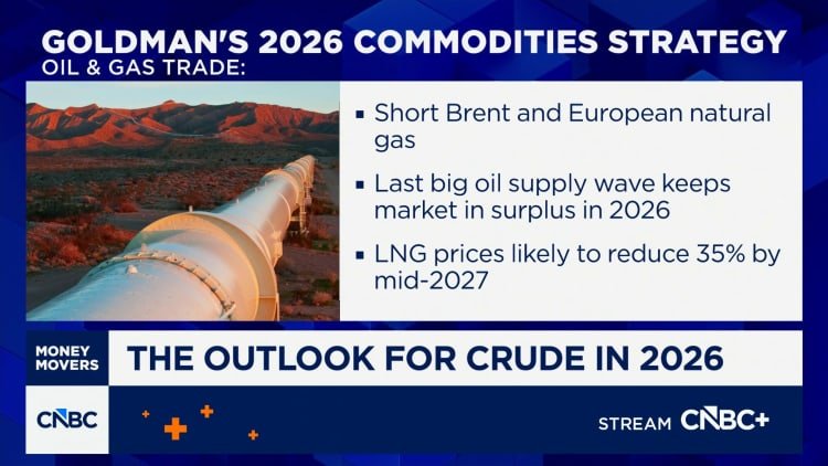 Goldman Sachs’ Samantha Dart on how the Russia-Ukraine war impacts the natural gas trade